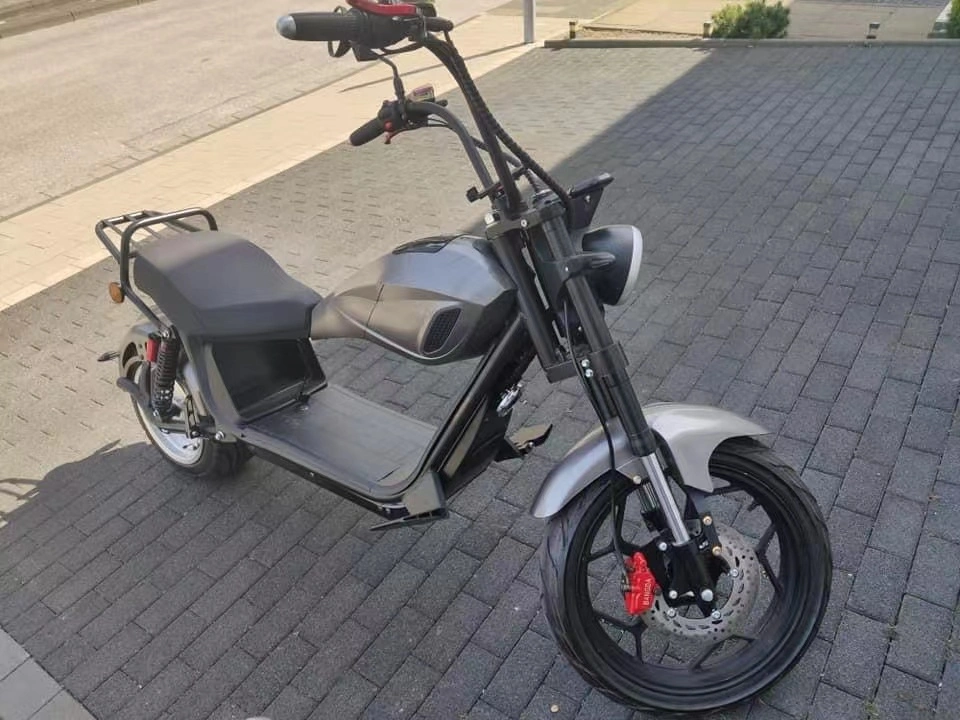 Cp-6 Citycoco Vélo électrique à pneus gras Scooter électrique à deux roues EEC 2000W