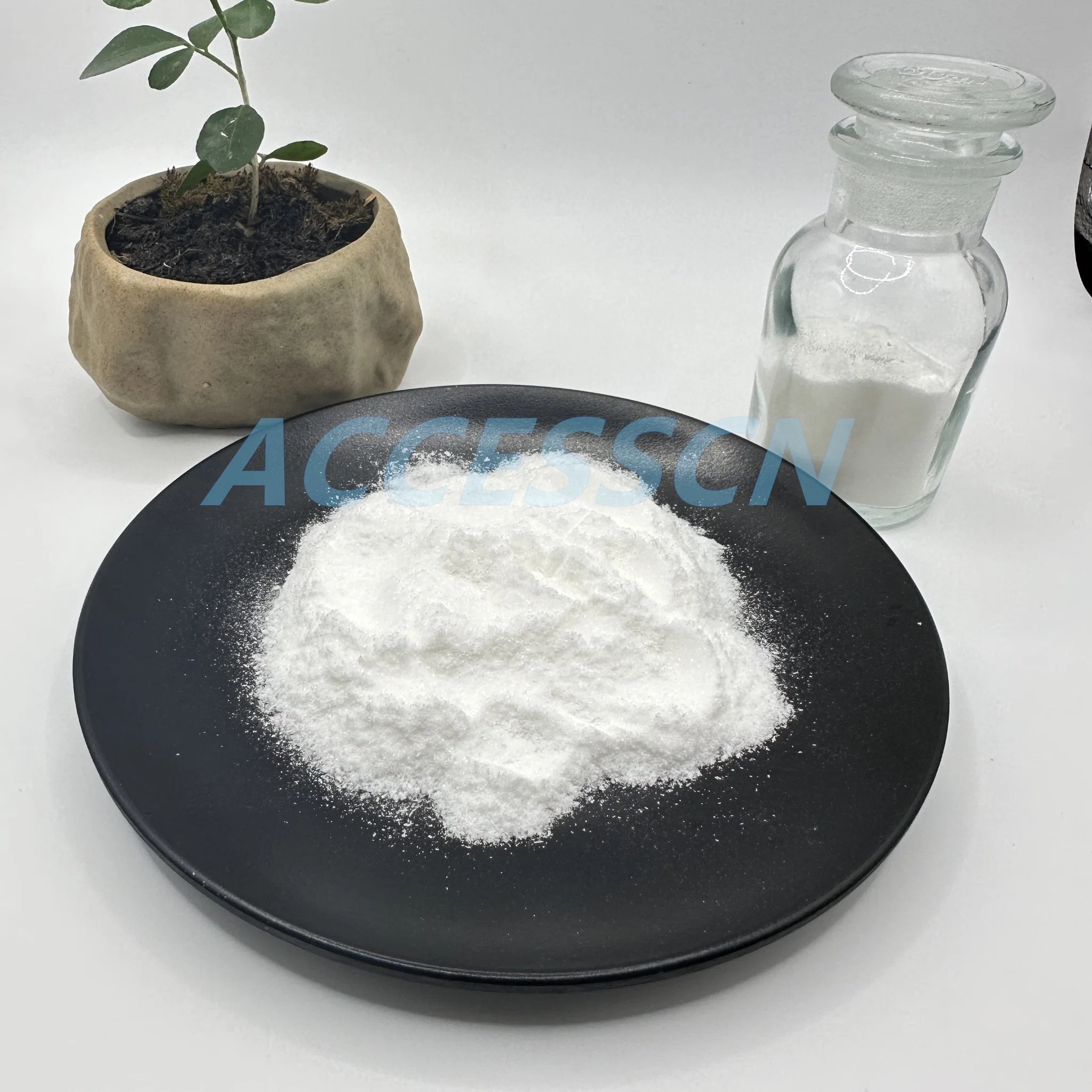 High Quality Raw Material Sodium Ascorbate CAS 134-03-2 Vitamin C