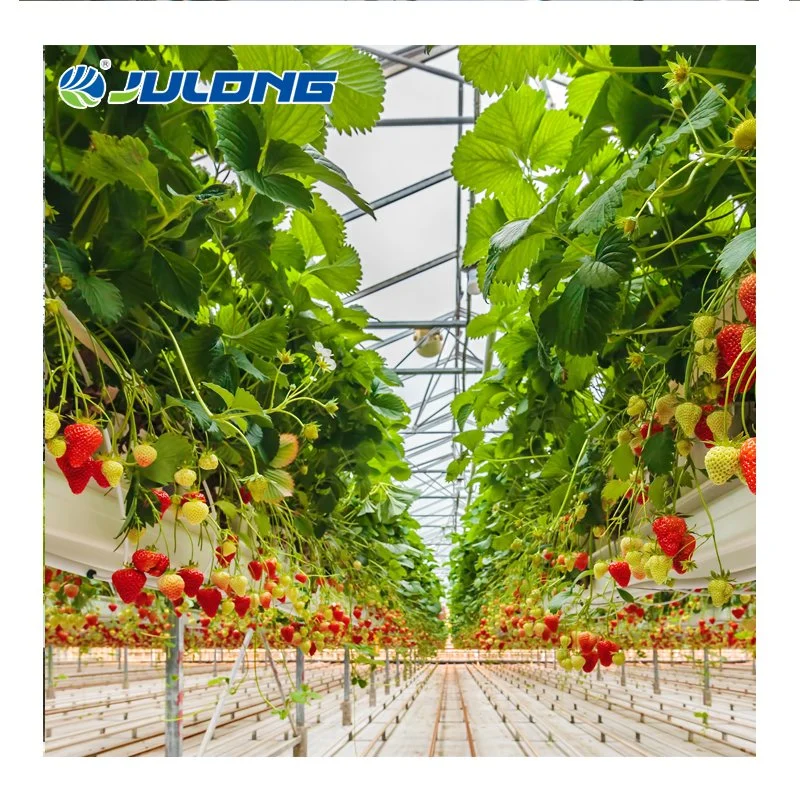 Factory Price Agriculture Po Film Multi Span Greenhouse with High quality/High cost performance Hydroponics Growing System