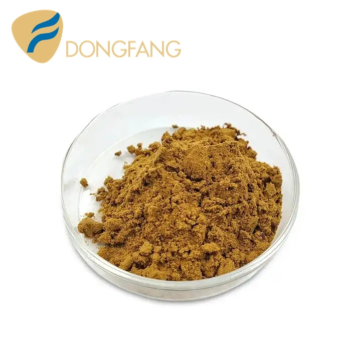 Wu Wei Zi Extract Powder Schisandra Extract Schisandra Fruit Extract Benefits