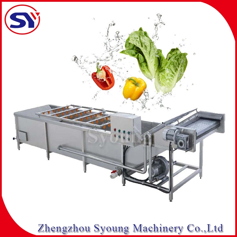 High Efficiency Vegetable and Fruit Tomato Bubble Washing Cleaning Machine