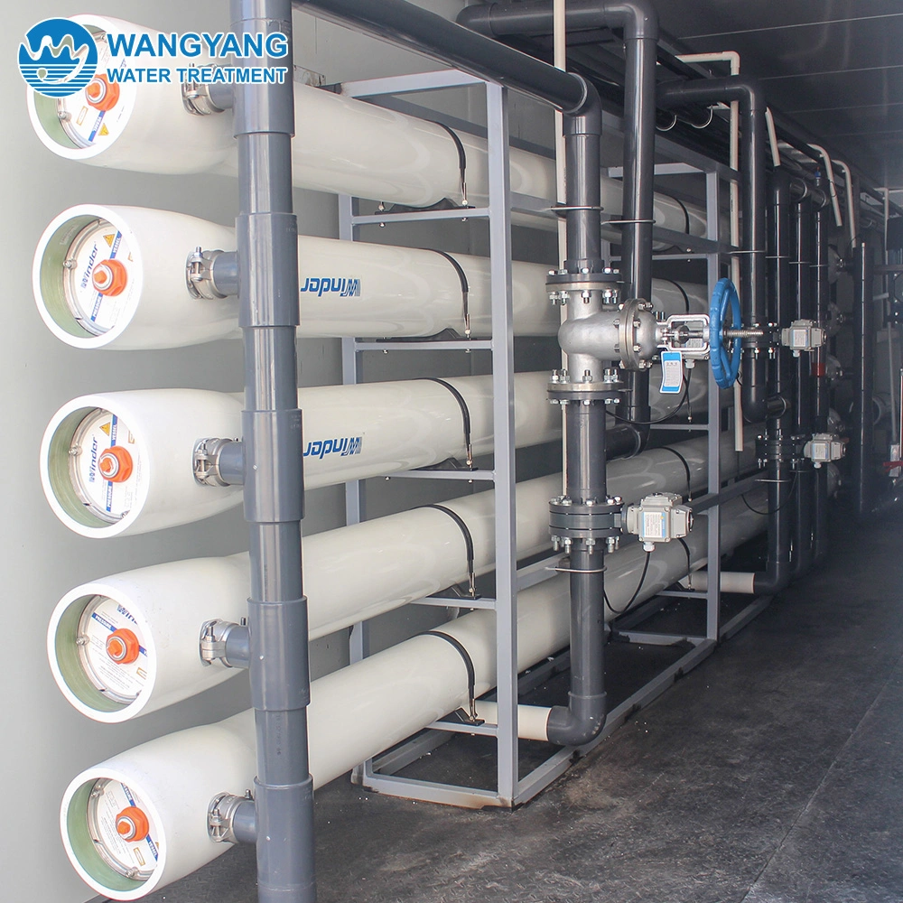 Malaysia 720 Cubic Meter Per Day Pure Water Desalination Equipment for Iron Removal