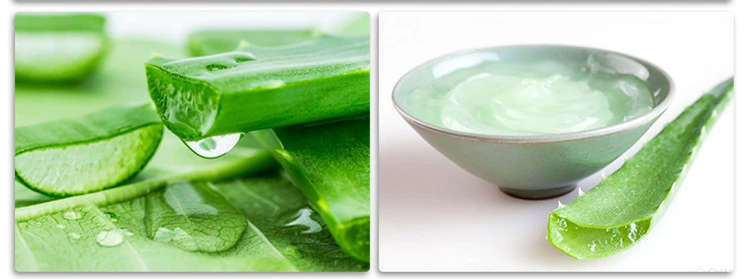 Cuidados de Saúde Alimentação Sonwu Cosméticos Pó de congelamento do gel de Aloe Vera pó seco