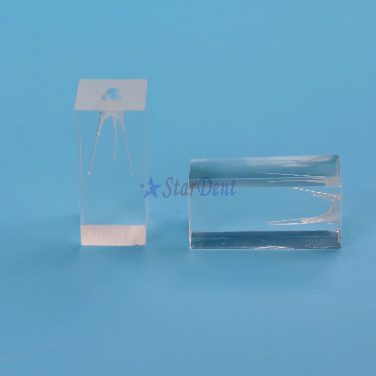 Popular Transparent Resin Endo Training Block 3 Root Canals Model for Teaching Use