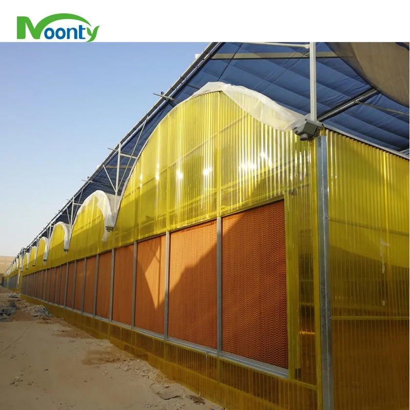 Great Performance Polycarbonate/Glass/Film Hydroponic Greenhouse for Middle East