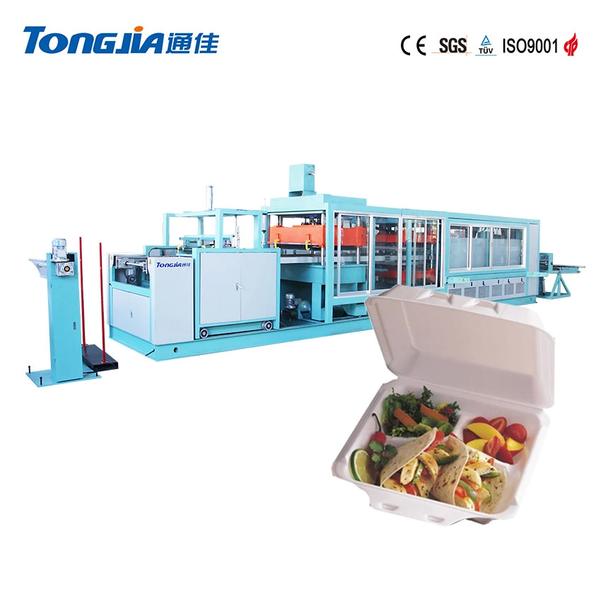 Foamed Plastic Food Packing Box Making Machine