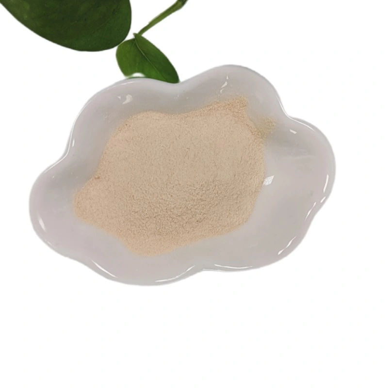 Knotweed Root Extract CAS 501-36-0 Resveratrol Powder with Best Price