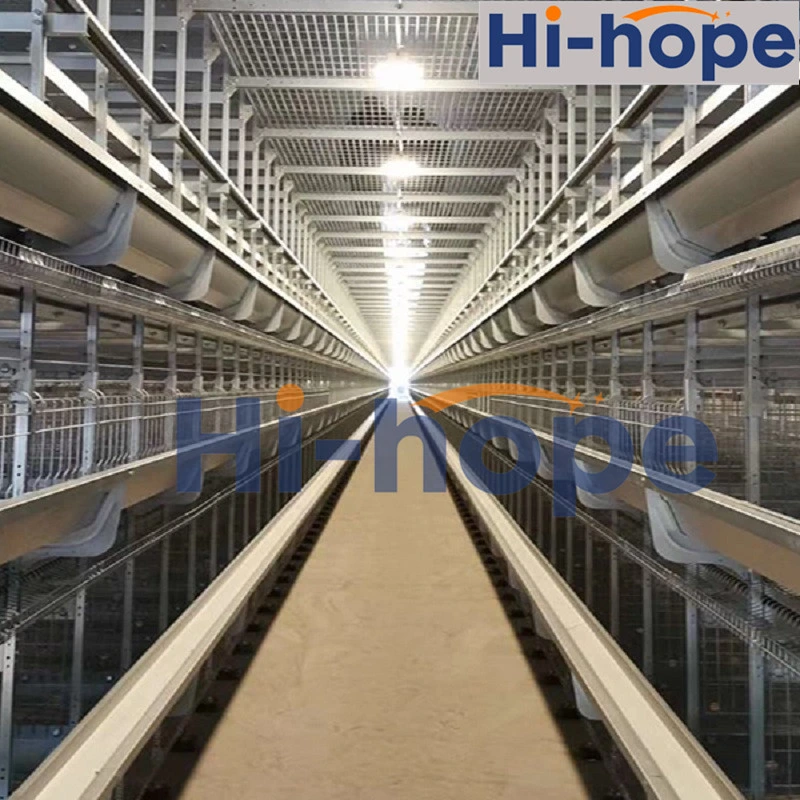 Geflügelfarm Ausrüstung 3 oder 4 Tier Hühnerkäfig Broiler Schichtzucht Hühnerkäfig