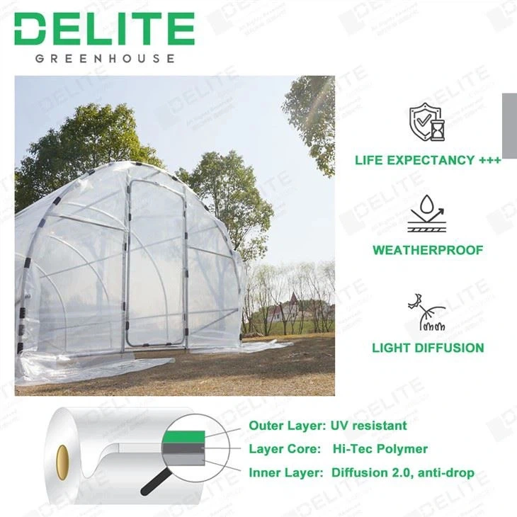 Politúnel de acero residencial pequeño uso casero Green House Kit 10ft Ancho