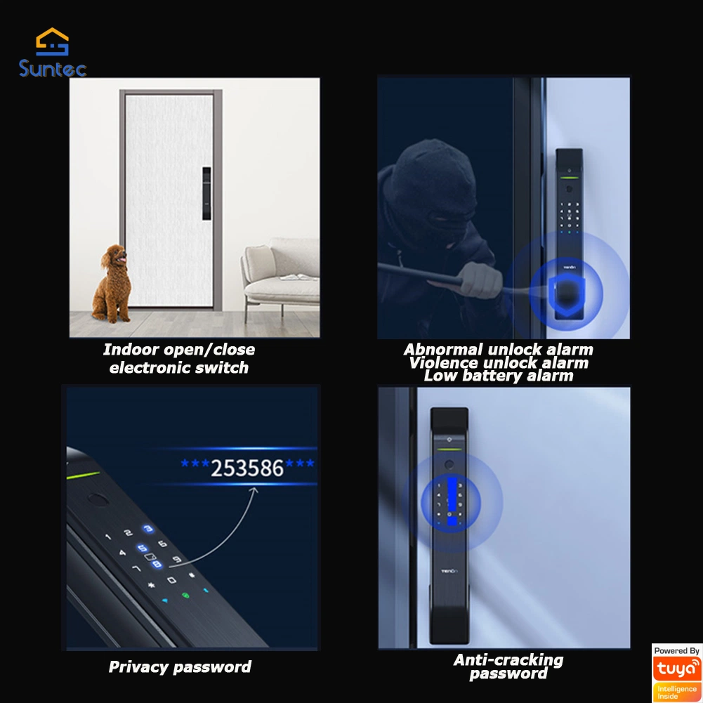 Tuya Smart 3D Facial Recognition Door Lock Entrance Control with Visit Record