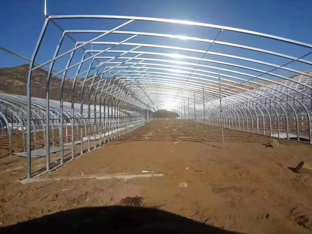 Agricultura moderna estufa personalizada tubo Oval com irrigação Hydroponics sistema Sistema para legumes frutas flores tomate tomate