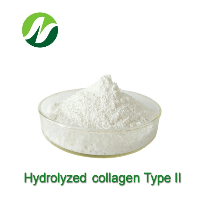 Good Quality Hot Sale 60.0% Protein Chicken Stemal Hydrolyzed Collage Type II CAS 9064-67-9