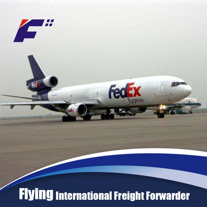 Dedicated Trust Worthy Considerate Service China Best Sell Air Freight Rates From China to Muenchen