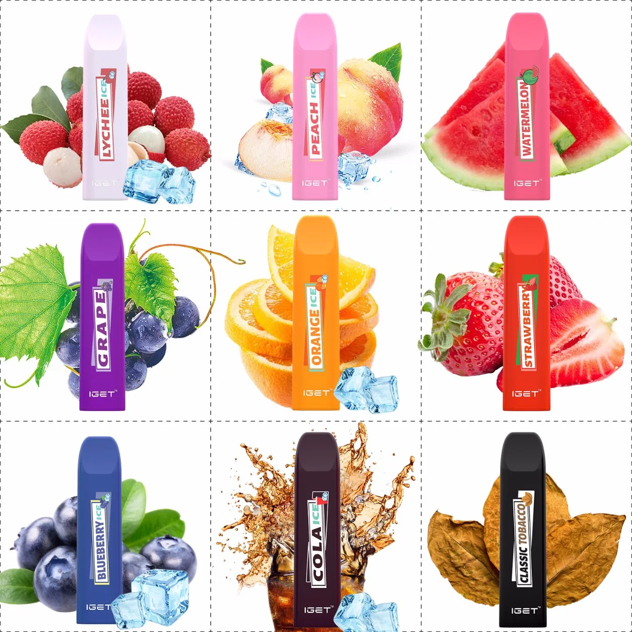 Hottest Custom fruit Flavor Iget Janna Electronic Cigarette Puff 450 Disposable/Chargeable Vape Pen