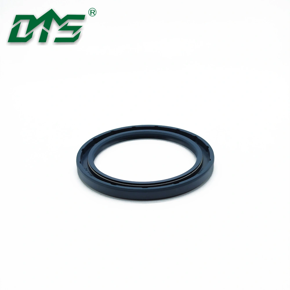 Mechanical Pressure Resistant NBR Tcv Motor Skeleton Oil Seals