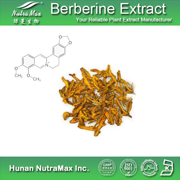 High Qualtiy 98% Berberine Extract Powder CAS 2086-83-1
