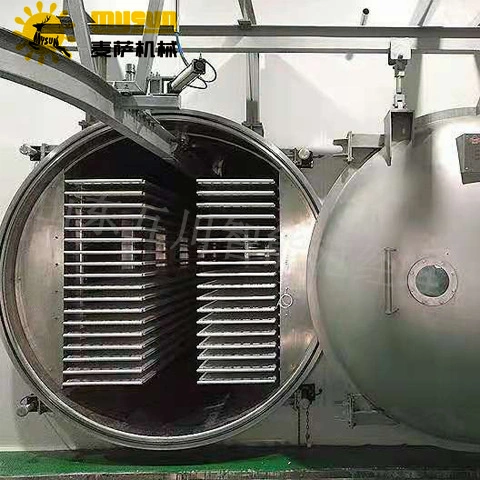 Raspberry Cryodry Vacuum Freeze Lyophilizer Dryer Drying Equipment