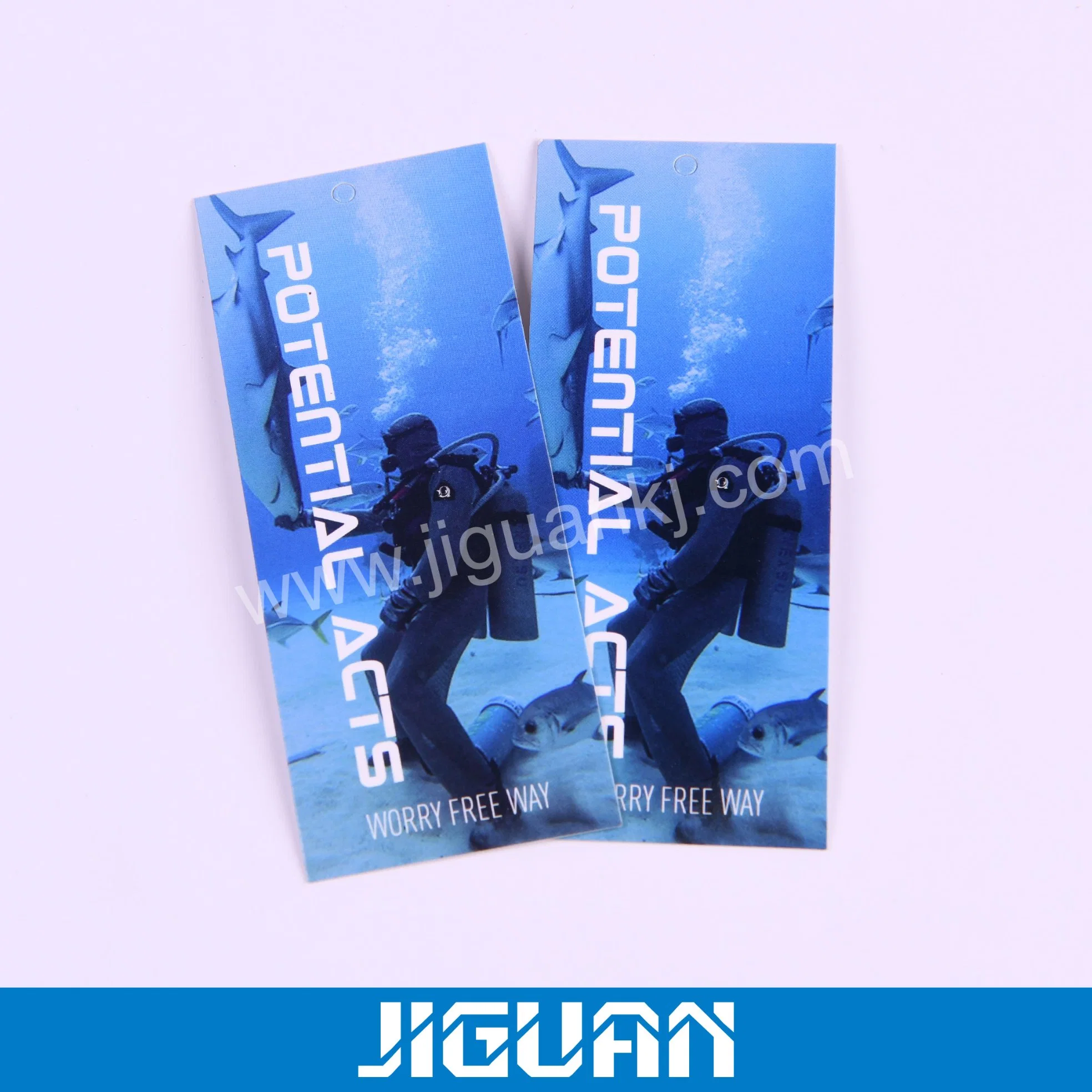 Cheap Price Paper or PVC Garment Fancy Hang Tag