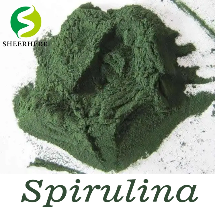 La couleur des aliments naturels Sheerherb fabrique la spiruline phycocyanine Pigment bleu poudre