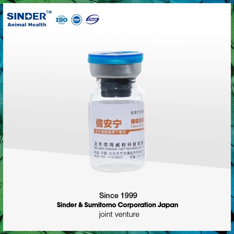 Vacina de suínos Síndrome reprodutiva e respiratória de suínos altamente patogênicos Live Vacina (Strain GDr180) para utilização em animais