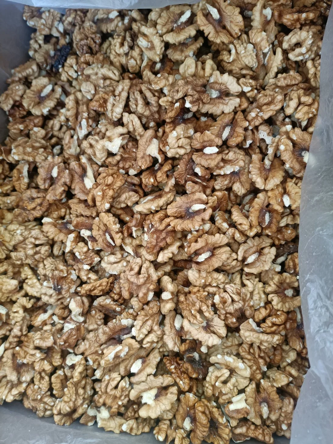 Factory Wholesale/Supplier Half Xinjiang Walnut Kernel