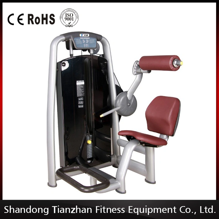 Back Extension Tz-6006 /Gym Use Fitness Machine for Sale