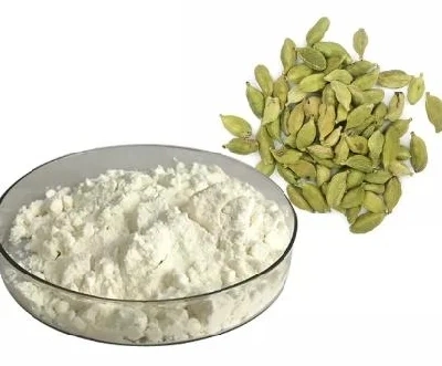 Gum Arabic Spray Dried Powder Wholesale/Supplier Price Gum Acacia Powder Food Grade Arabic Gum Powder