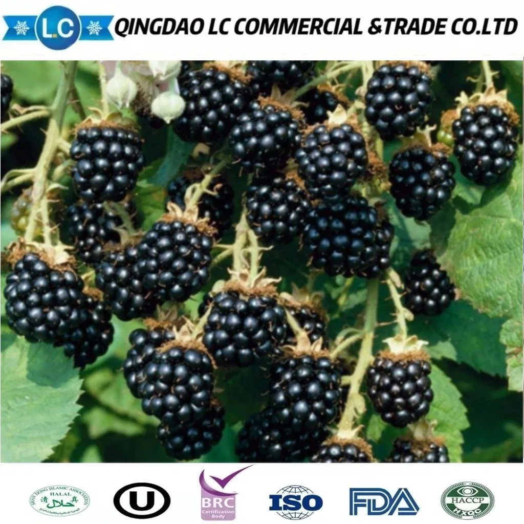 High quality/High cost performance  Bulk Frozen Fruit Blackberry Price Per Ton