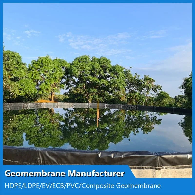 GM13 Standard 2mm HDPE Plastic Geomembrane Sheet for Large Fish Ponds Farm Tank