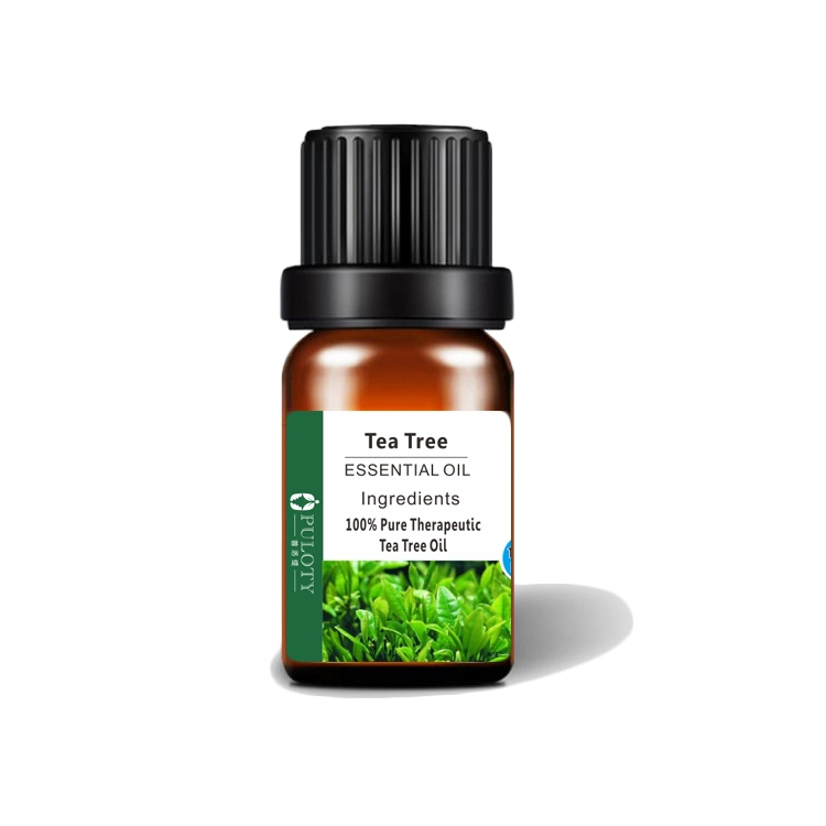 100% Undiluted Tea Tree Oil Used to Treat and Disinfect Minor Cuts and Abrasions by Killing S. Aureus and Other Bacteria