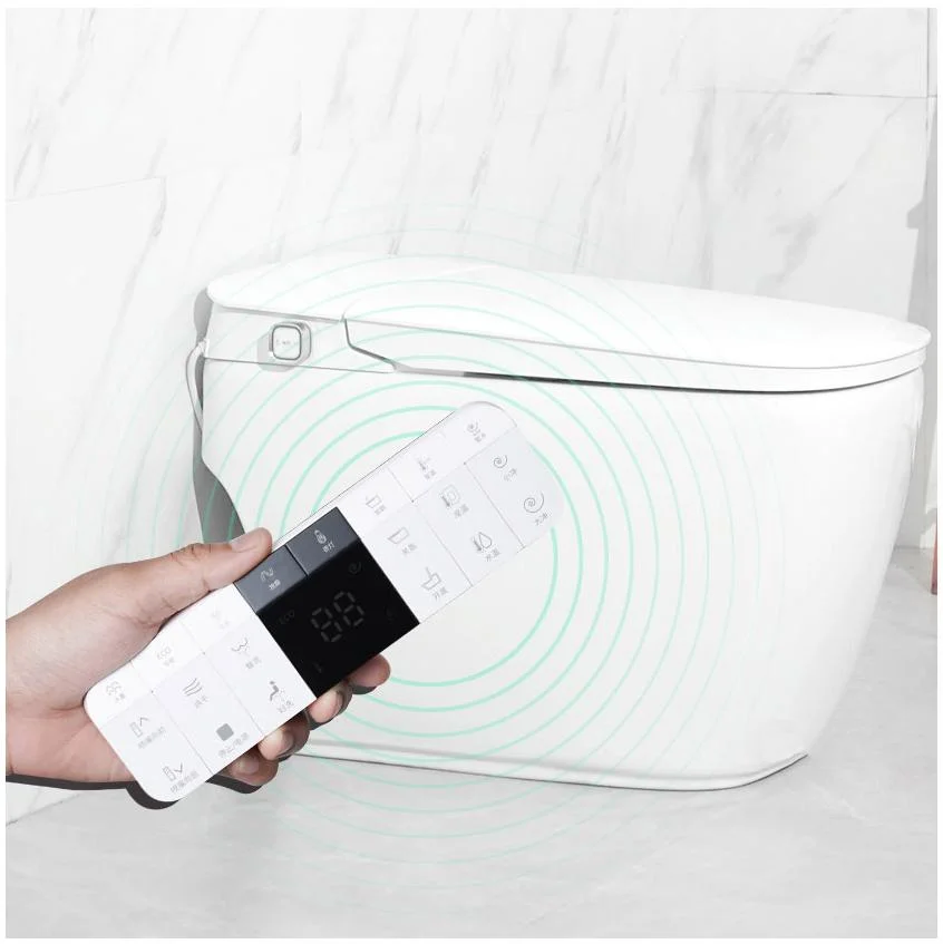 Motion Sensor Self Flushing Smart Toilets Bowl