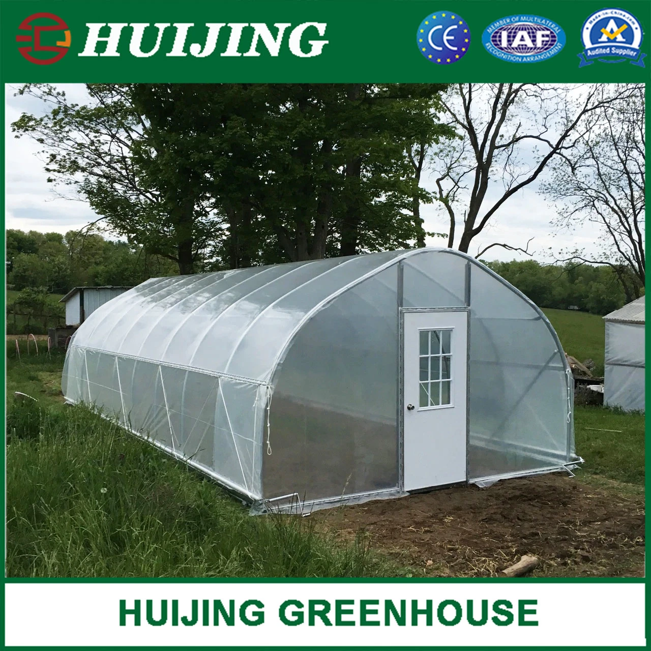 Hot Sale Polytunnel Single-Span Plastic/Film/PC Greenhouses for Agriculture