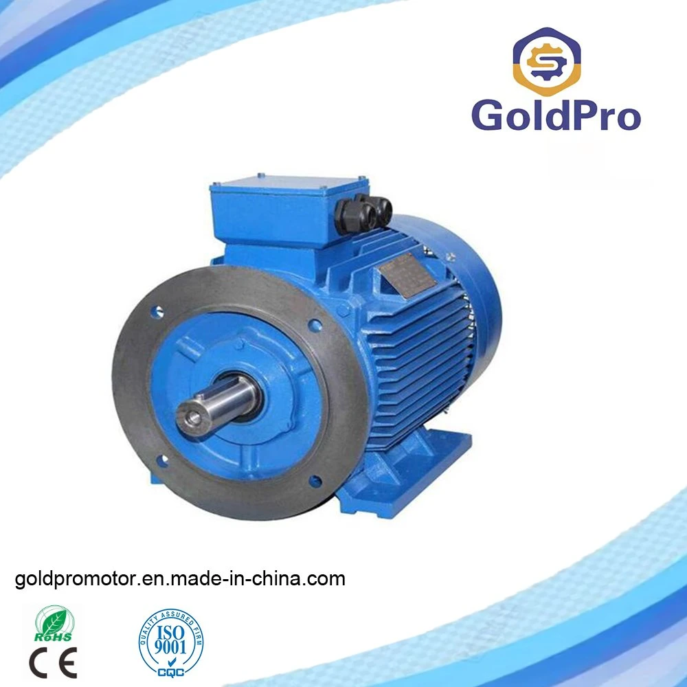 Hot Selling GOST Anp Series Industrial Electric Asynchronous Three Phase AC Motor