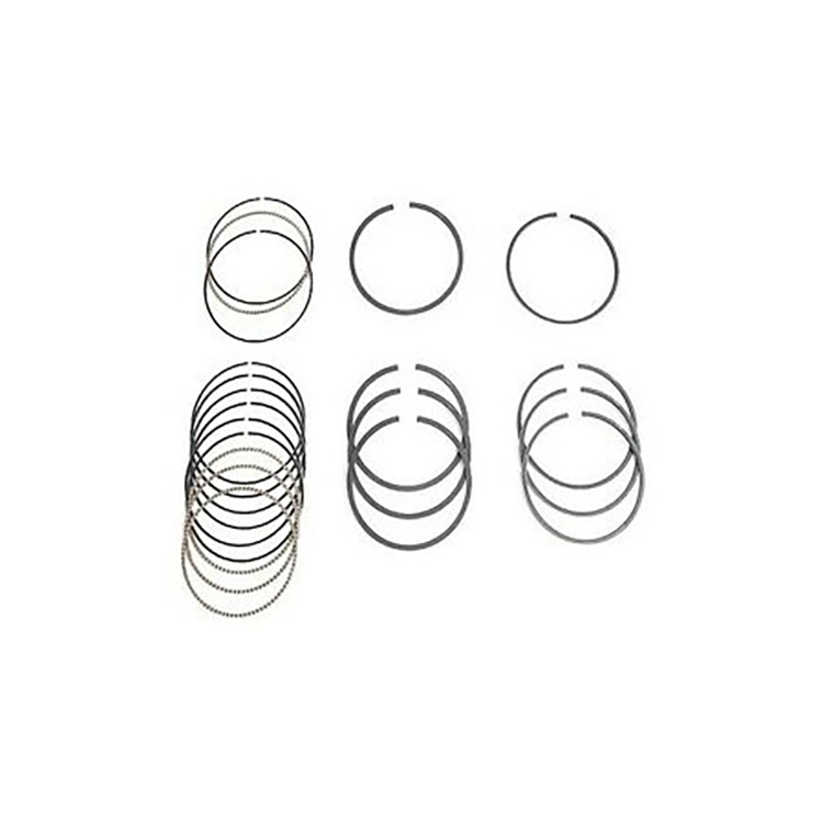 Top Quality Auto Parts Piston Ring Std 13011-31150