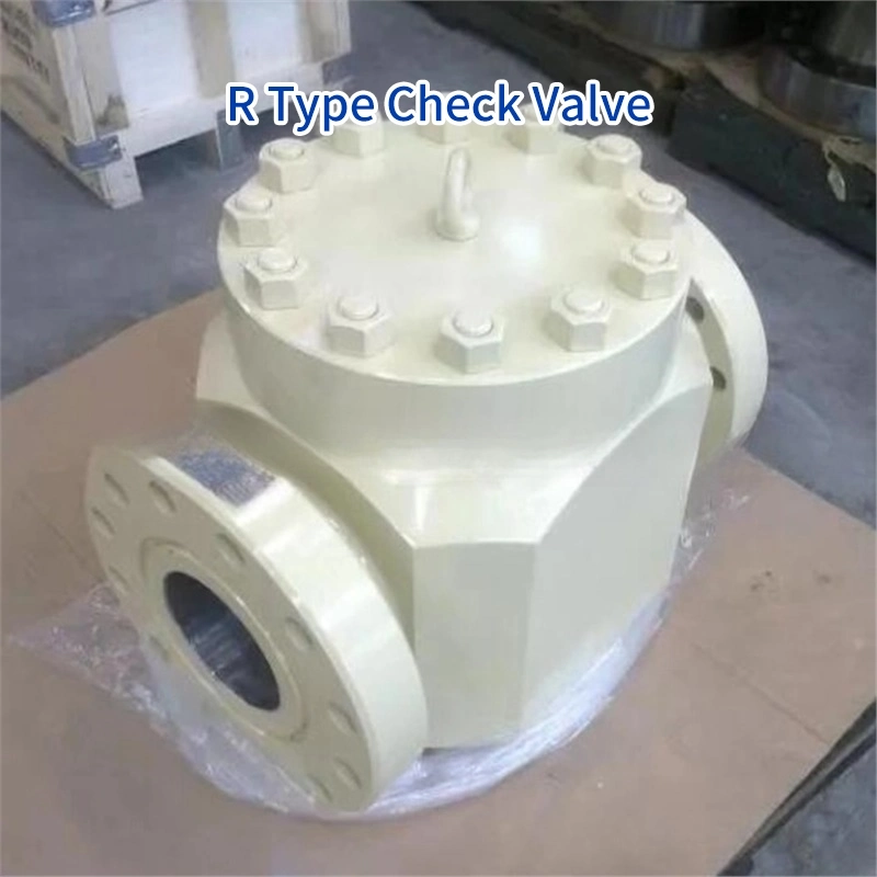 Fire Fighting Valve 300psi Swing Check Valve Flange Type Fire Fighting Equipment