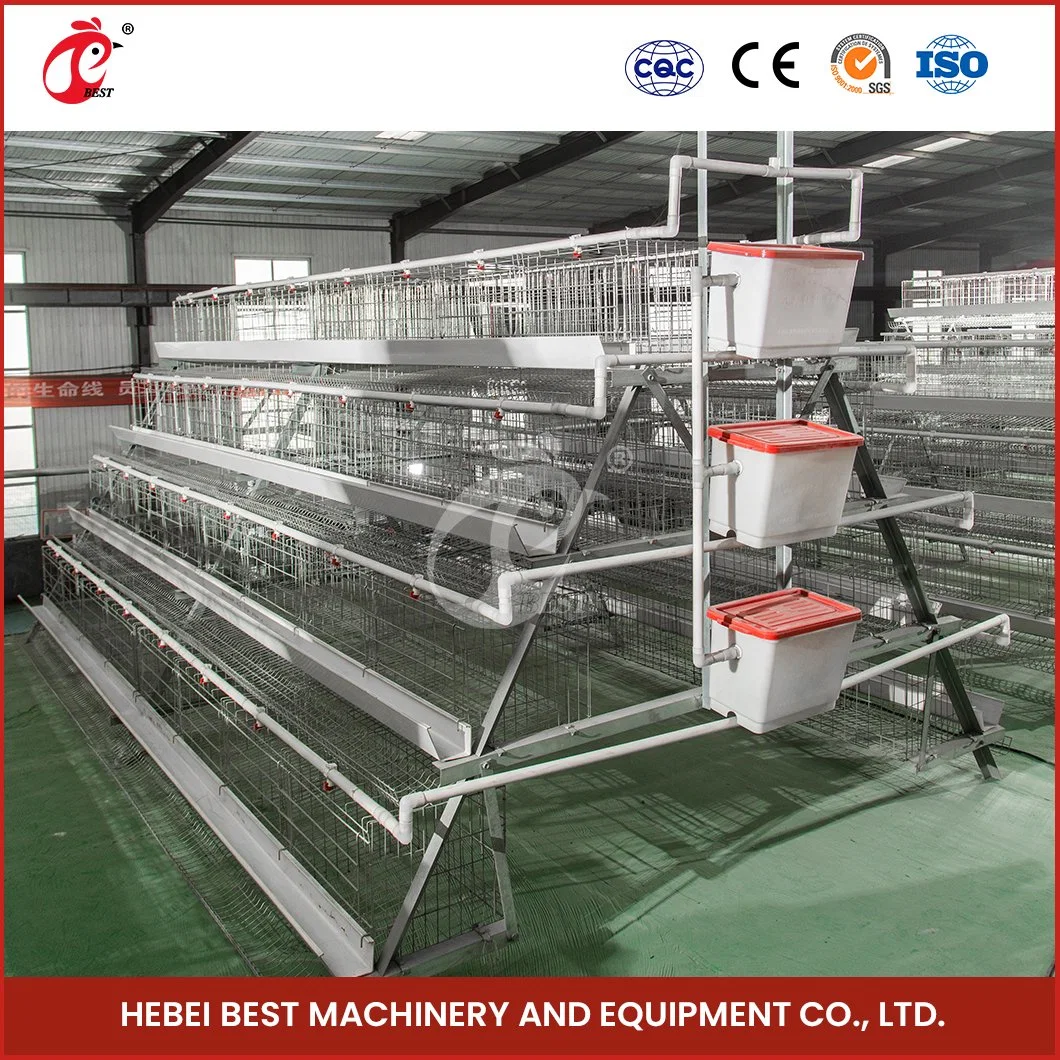 Bestchickencage China Grande Portable Chicken Layer Coop Factory OEM Custom Cuadrícula científica Tamaño capa Granja Pollo Cage Configuración Chicken Coop Marco metálico