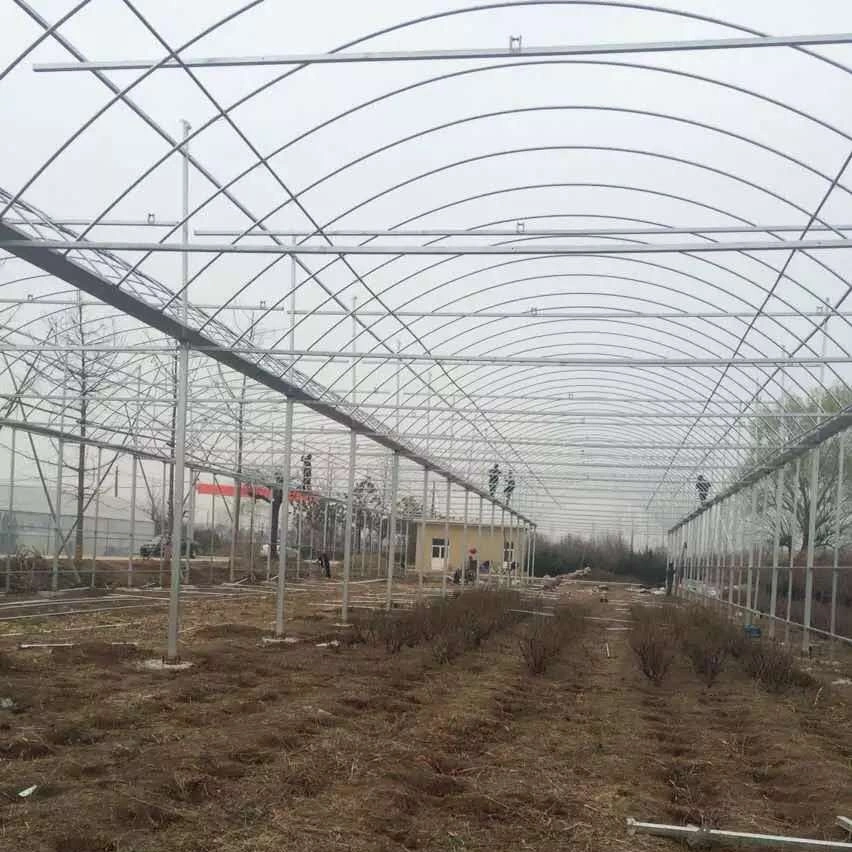 Smart Multi-Span Arch Type Film Agriculture Greenhouse for Vegetables with Hydroponics Growing System for Tomato Cultivation Image