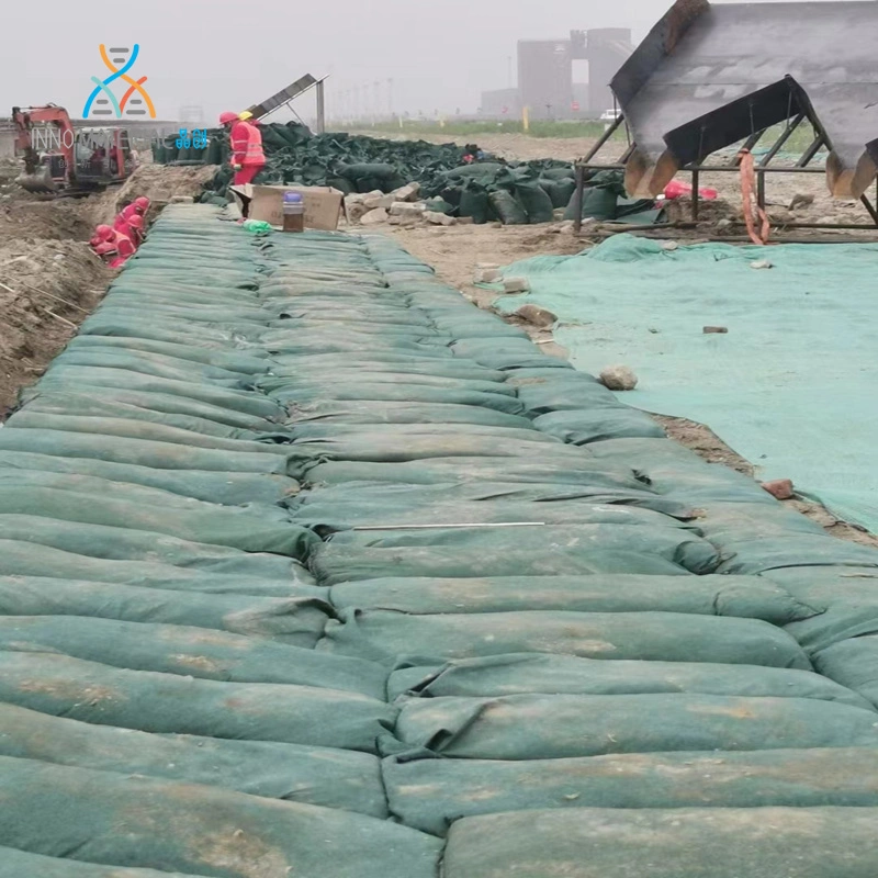 Inno verde resistente a la corrosión de la correa de paquetes Precio Bolsa Geo Geobag