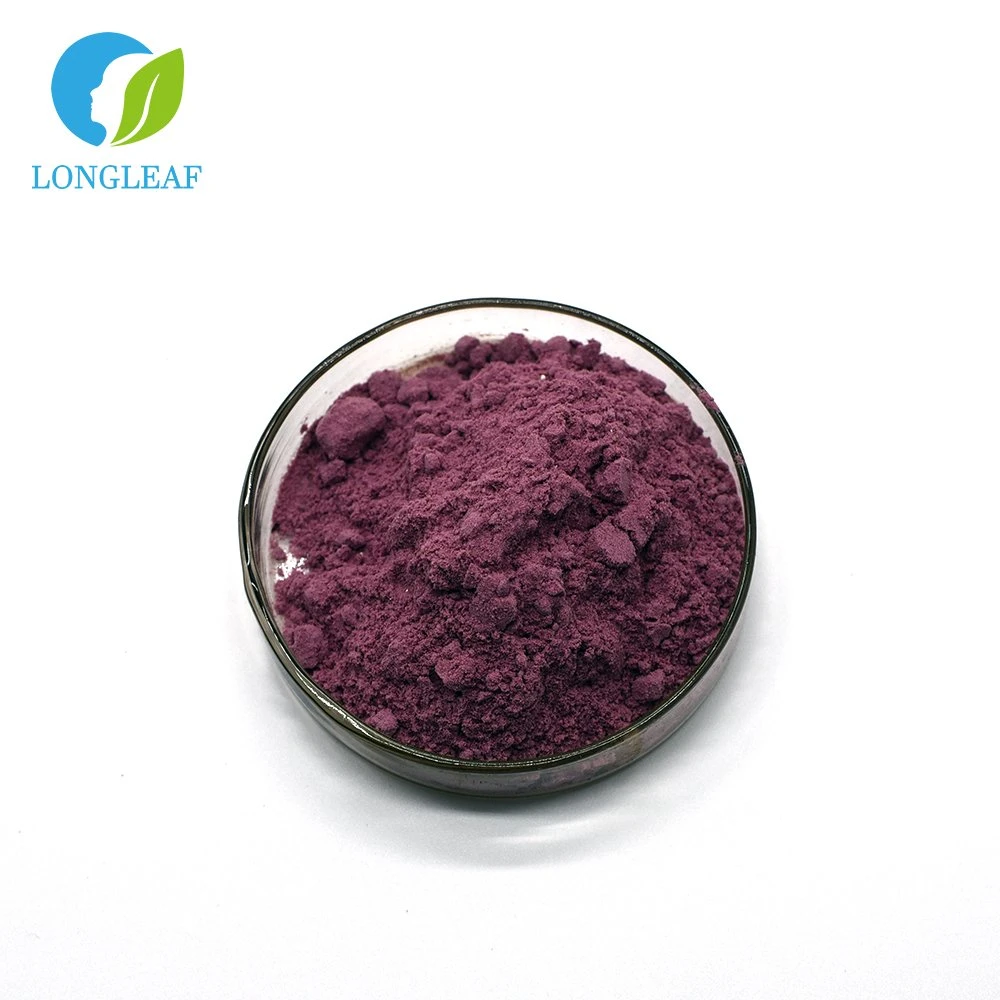 Honest Merchants Supply Natural Blueberry Blue Pigment New Products at Bulk Order