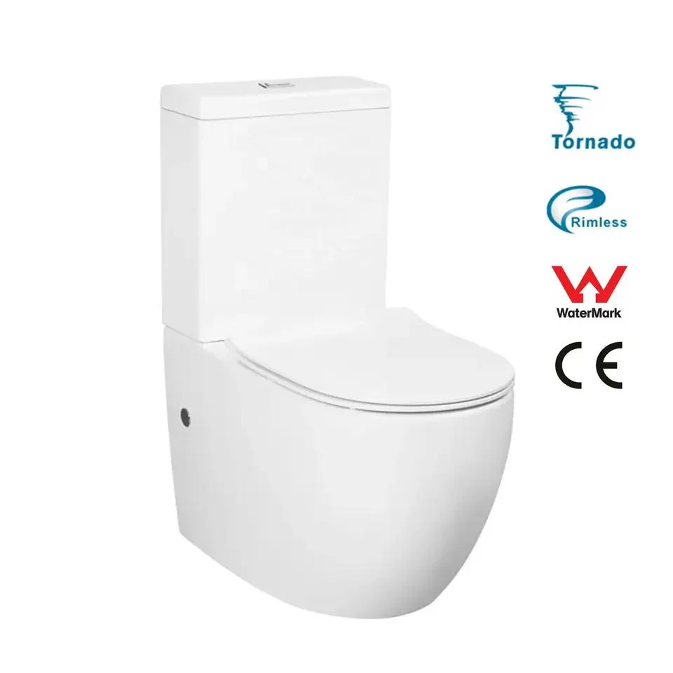 Customization China Bathroom Watermark Toilet Ceramic Wc Toilet Two Piece P Trap Toilet