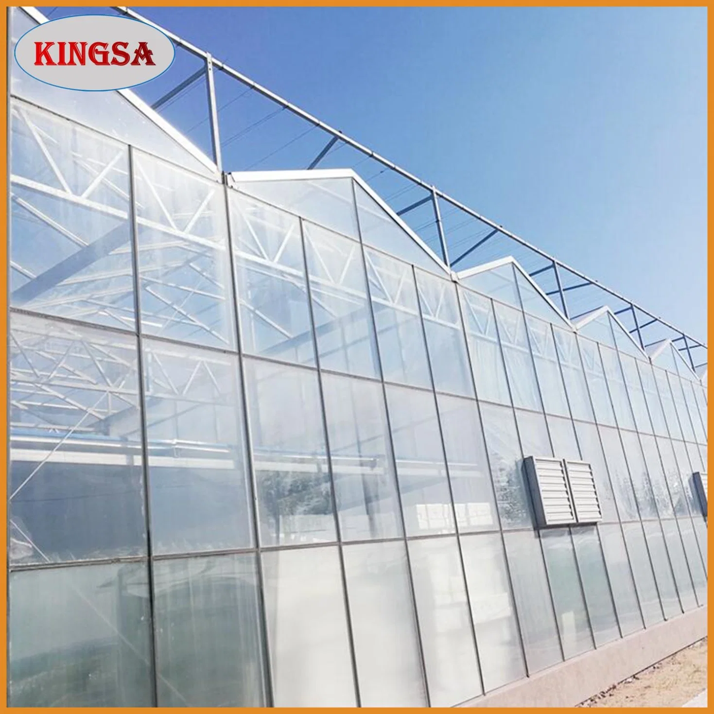 Agricultural/Commercial Multi-Span PC Sheet Greenhouse with Hydroponic System and Automatic Irrigation System