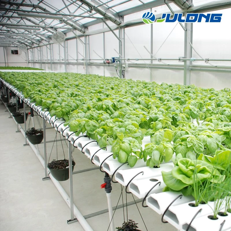 Agricultural Equipment Climate Control Single-Span Greenhouse