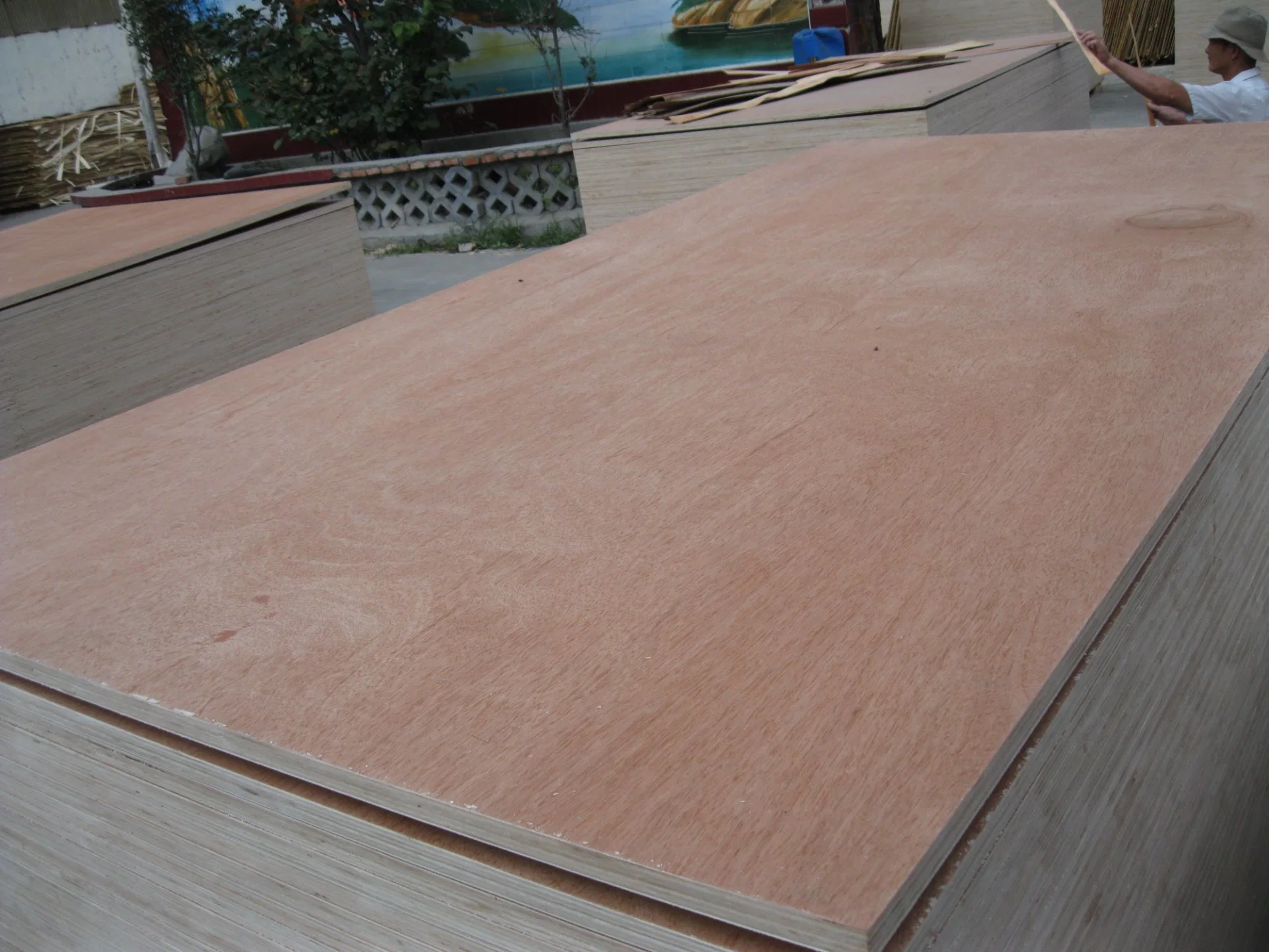 Commercial Poplar Plywood for Furniture and Packing