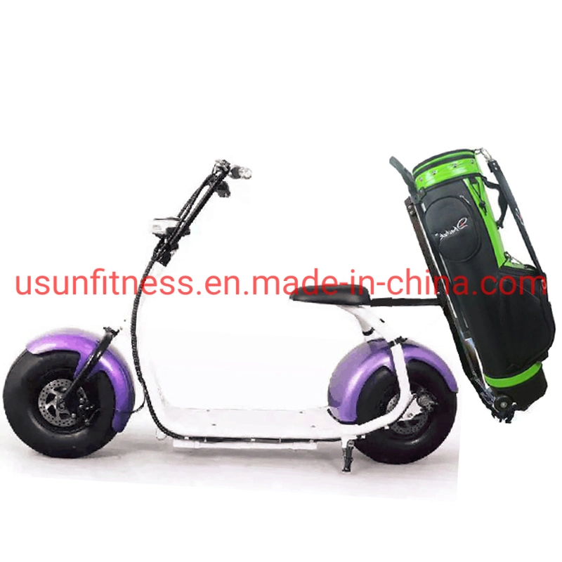 Golf Club Hot Sales 2 Wheels Electric Cars in High Performance Golf Electric Scooter City Coco Fat Tire Tricycle Motorcycle Cargo Scooters for Golf Course