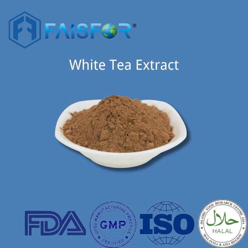 Factory Wholesale/Supplier Price Botanical Extract White Tea Extract with Free Sample