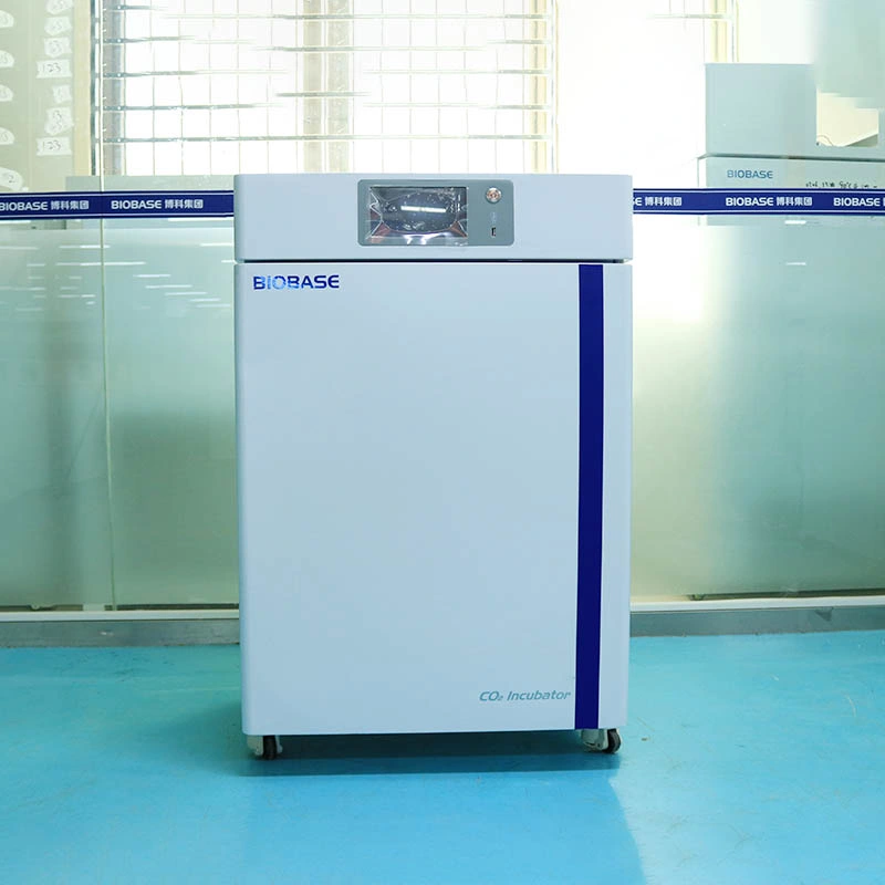 Biobase China High Quality 50L Air Jacket CO2 Incubator for Laboratory