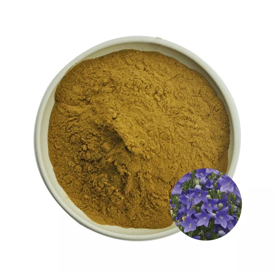 Traditional Chinese Herbal Medicine Platycodon Grandiflorum Extract
