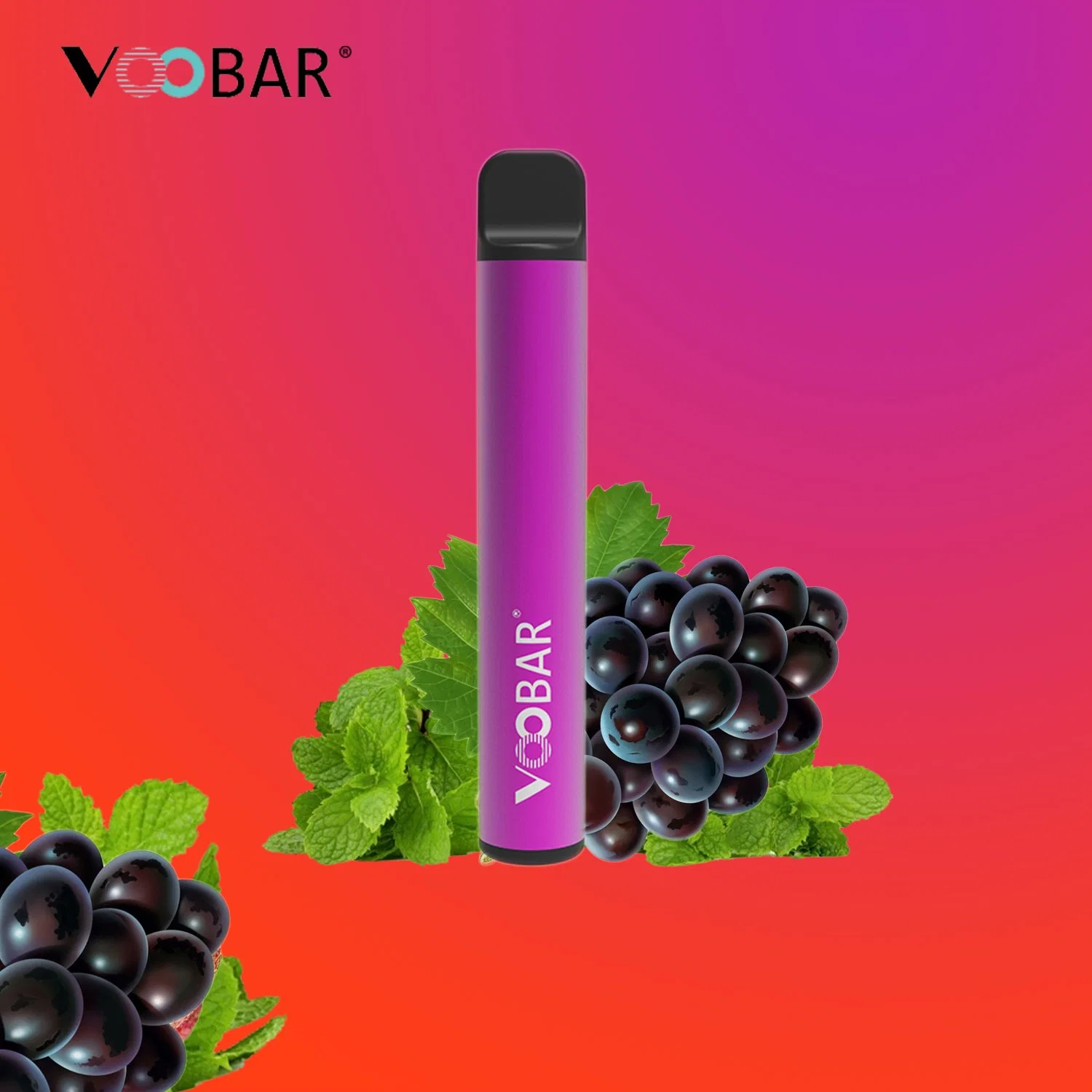 Disposable Pod Pen with Tpd Flavors for Europe Vape Market