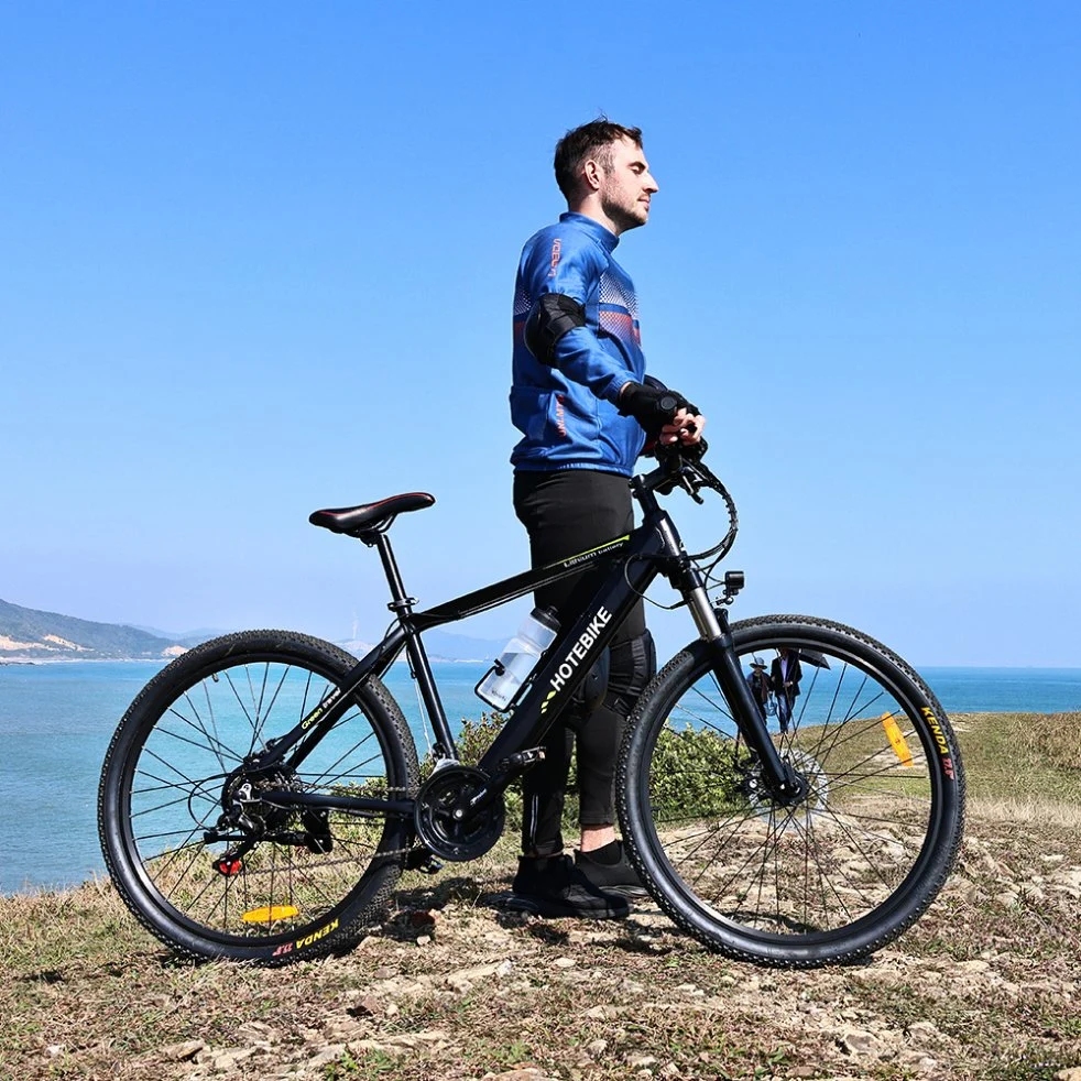 MTB Ebike 500W 750W 1000W Retro Bicycle Sports Road E-Bike Dirt Cycle Mountain Electric Bike