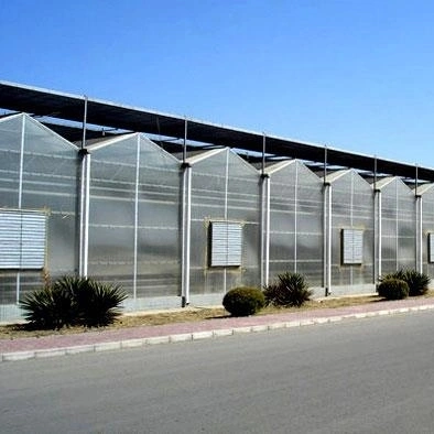 Agricultural Multi-Span PC Polycarbonate Greenhouse/Tempered Glass/Plastic Film//Hydroponic Greenhouse